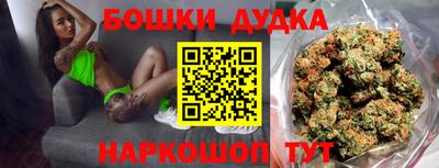 стафф Кингисепп