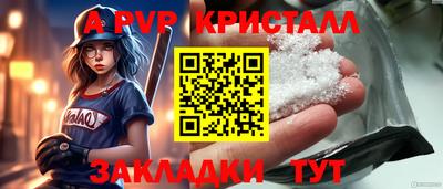 стафф Кингисепп
